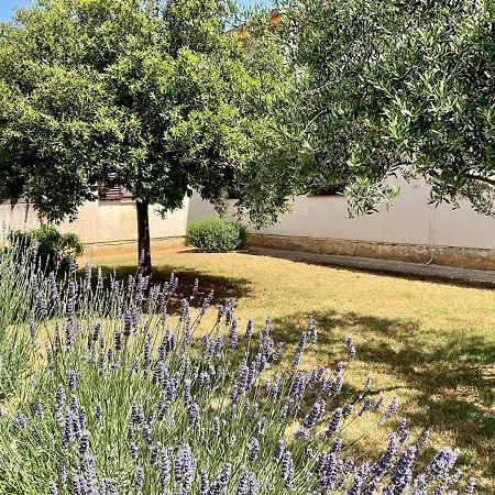Apartman Vacation Elba
