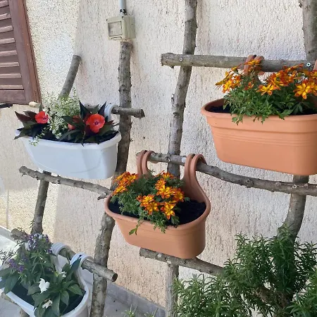 Vacation Elba Apartman *